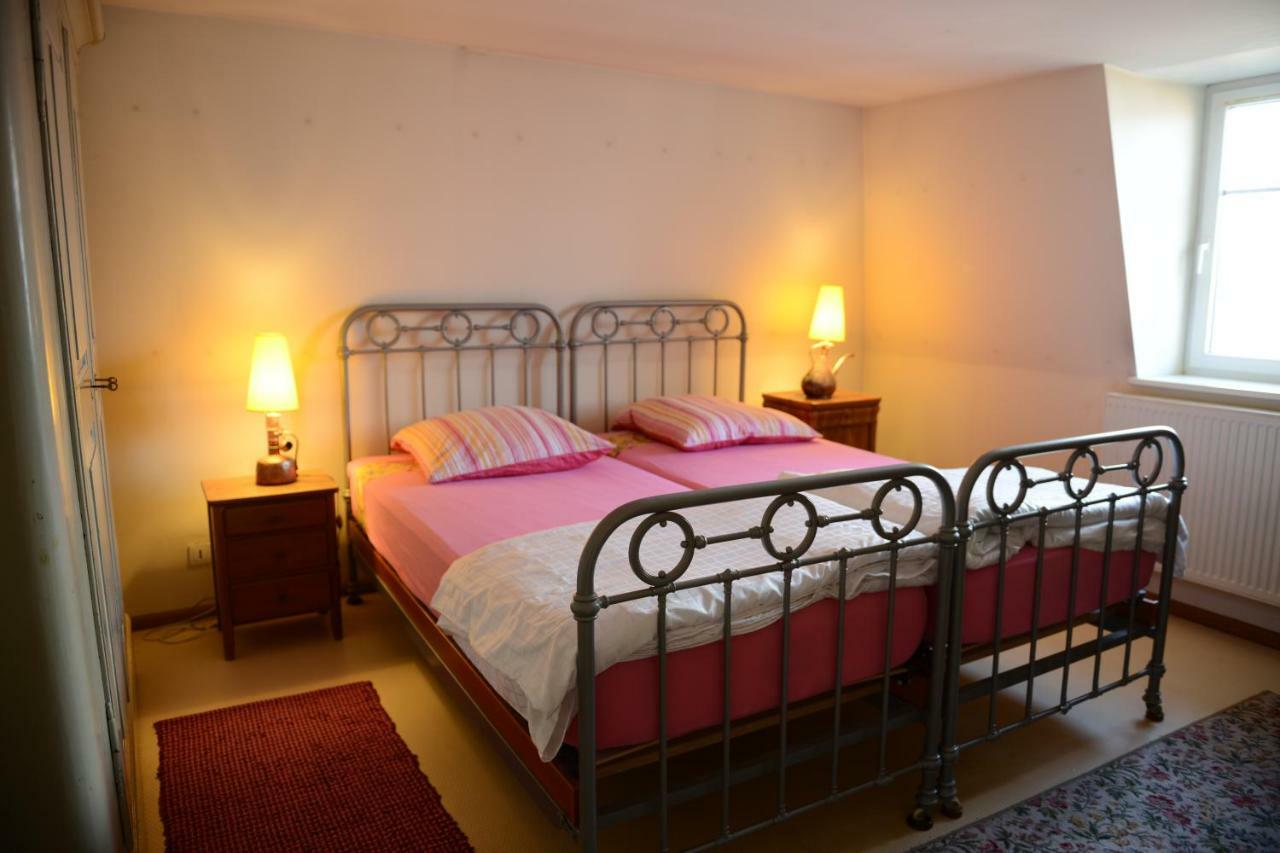Albrecht Guest Apartement Kembs Exterior foto